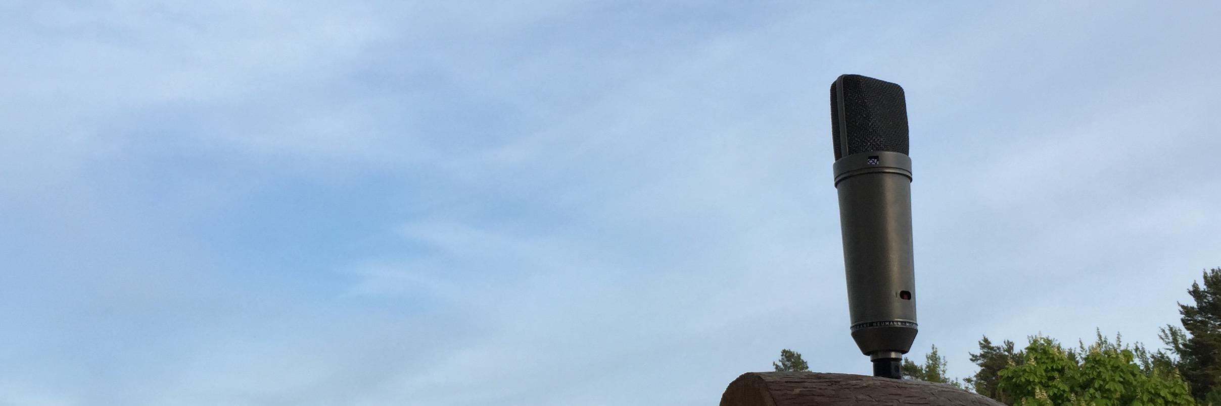 Staffan Dopping banner