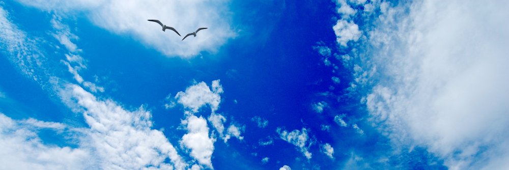 pierrotsitecom's profile banner image