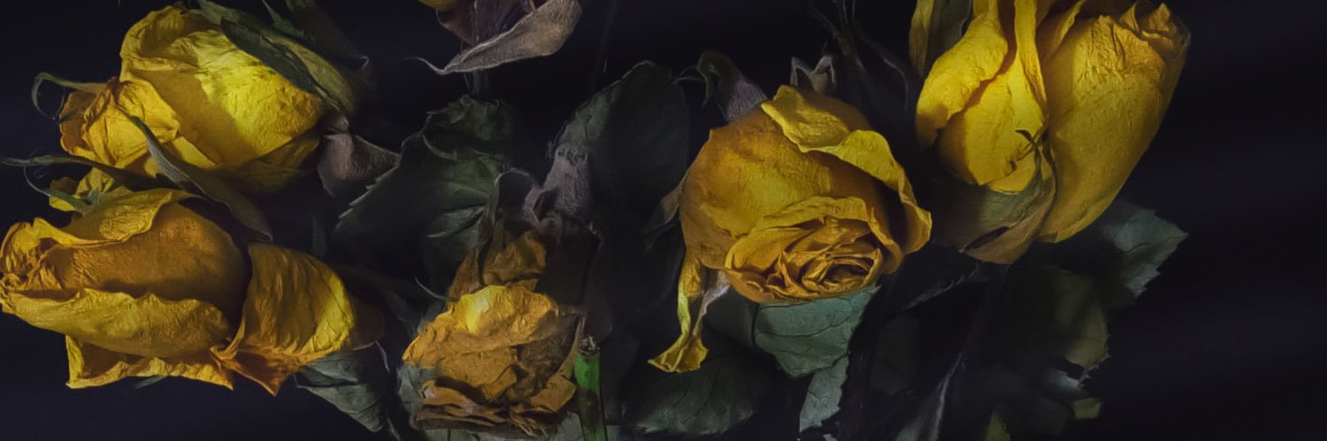 Fofo97Two's profile banner image