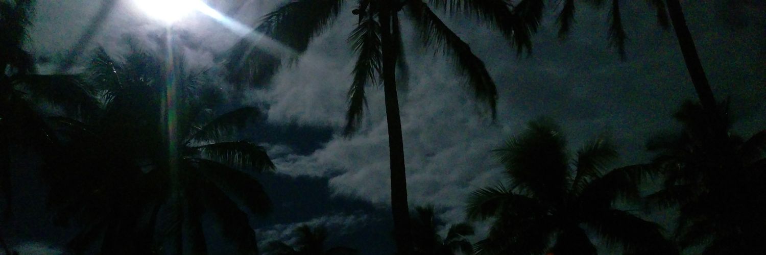 NEGROROA's profile banner image