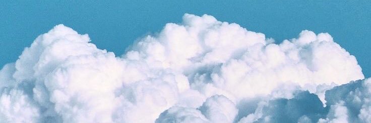 MariaFlorCundom's profile banner image