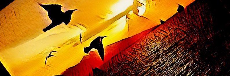 ynssnnn's profile banner image