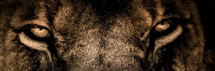 Abdoul2ic's profile banner image