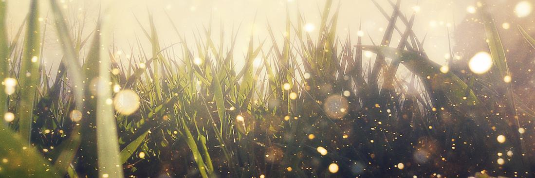 tavilam's profile banner image