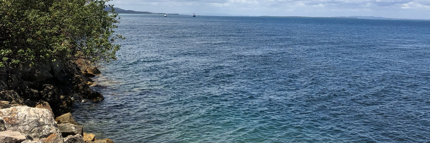 Lyn Cameron banner