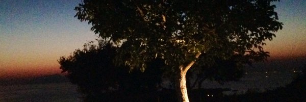 DawnCollinson Profile Banner