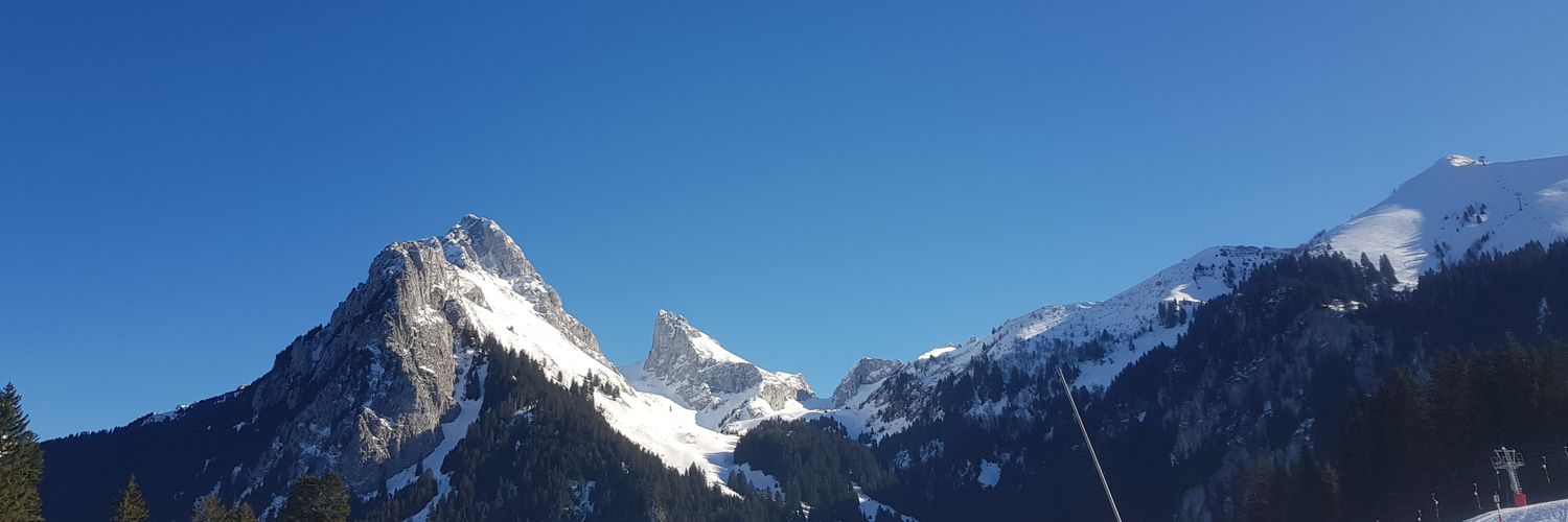 The Meow Machine banner