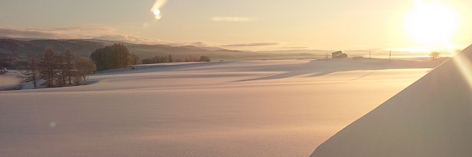 pensakico's profile banner image
