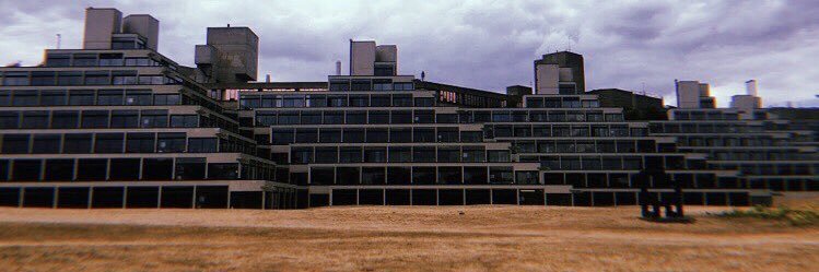 Dr Rose Hutton banner