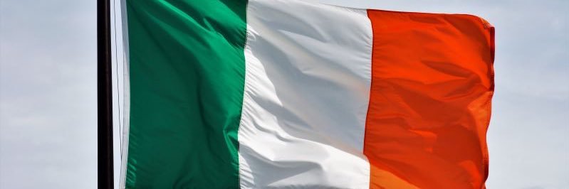 UFCTalk247's profile banner image