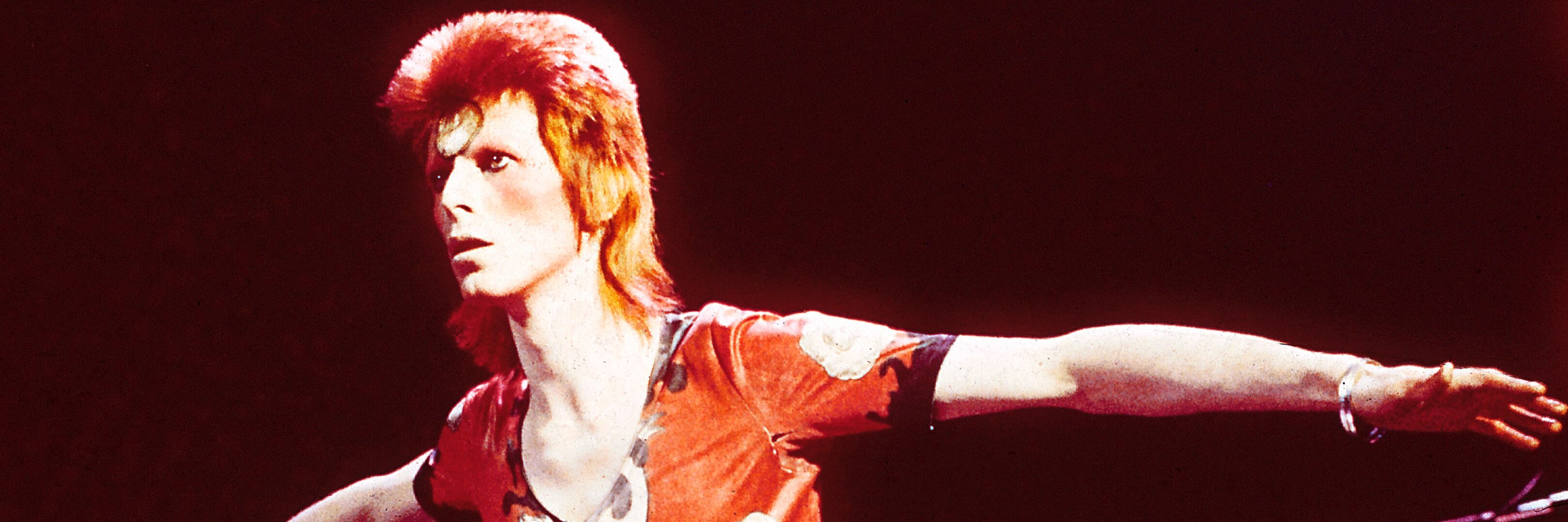 QueenBeetch.com banner