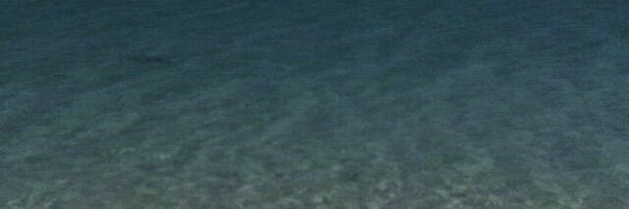 karolaserra's profile banner image