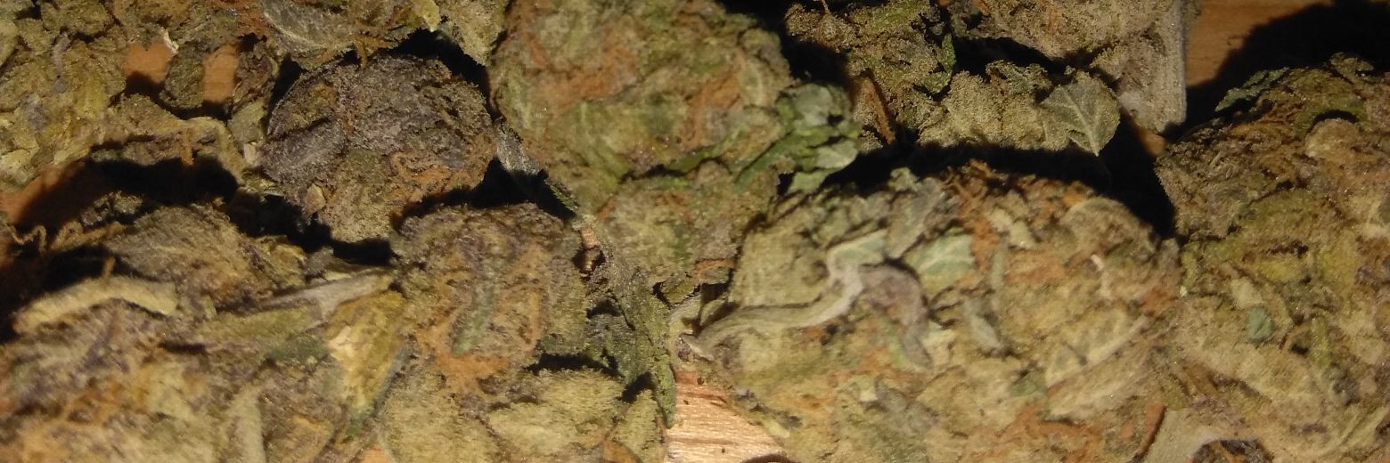 droploco901's profile banner image