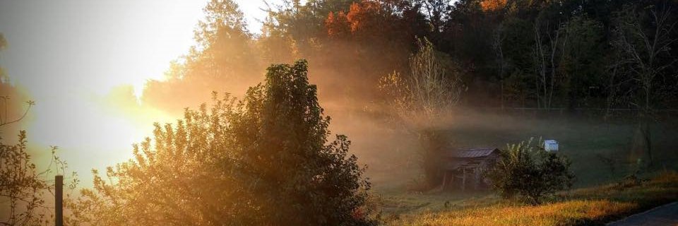 SidewaysFarm's profile banner image