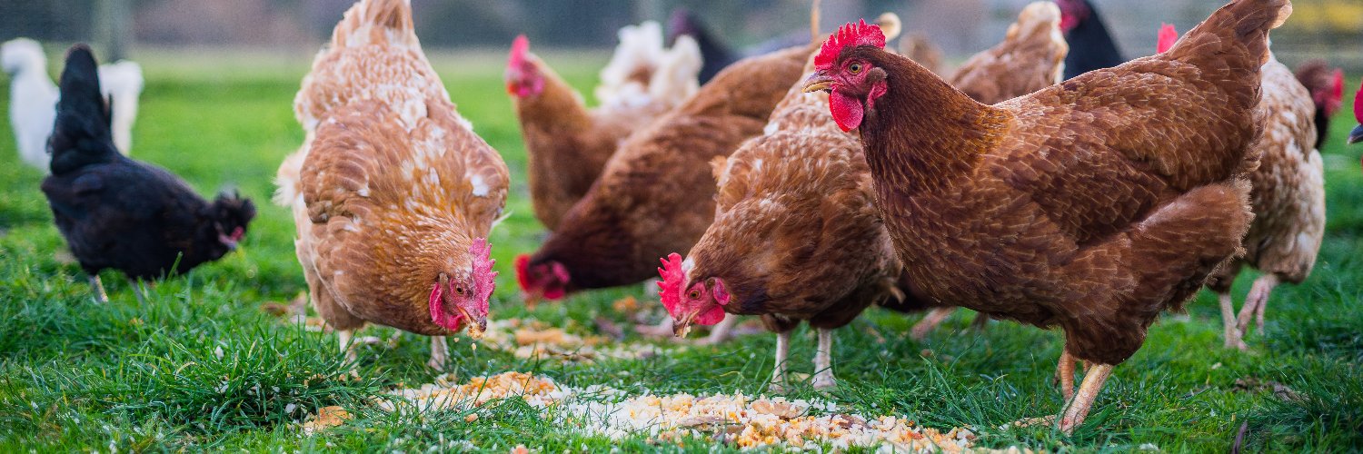 Animal AgTech Innovation Summit banner