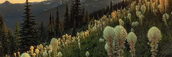 lmzwelbon Profile Banner