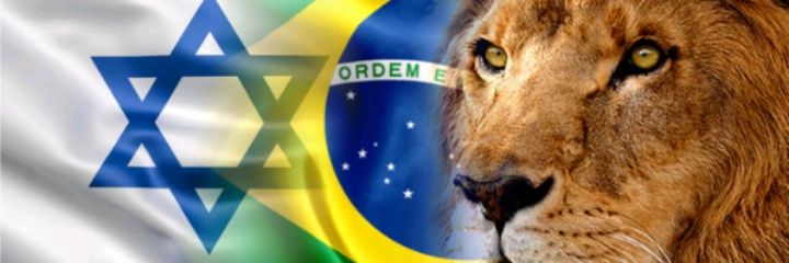 Susi 🇧🇷💛💚🇧🇷 banner