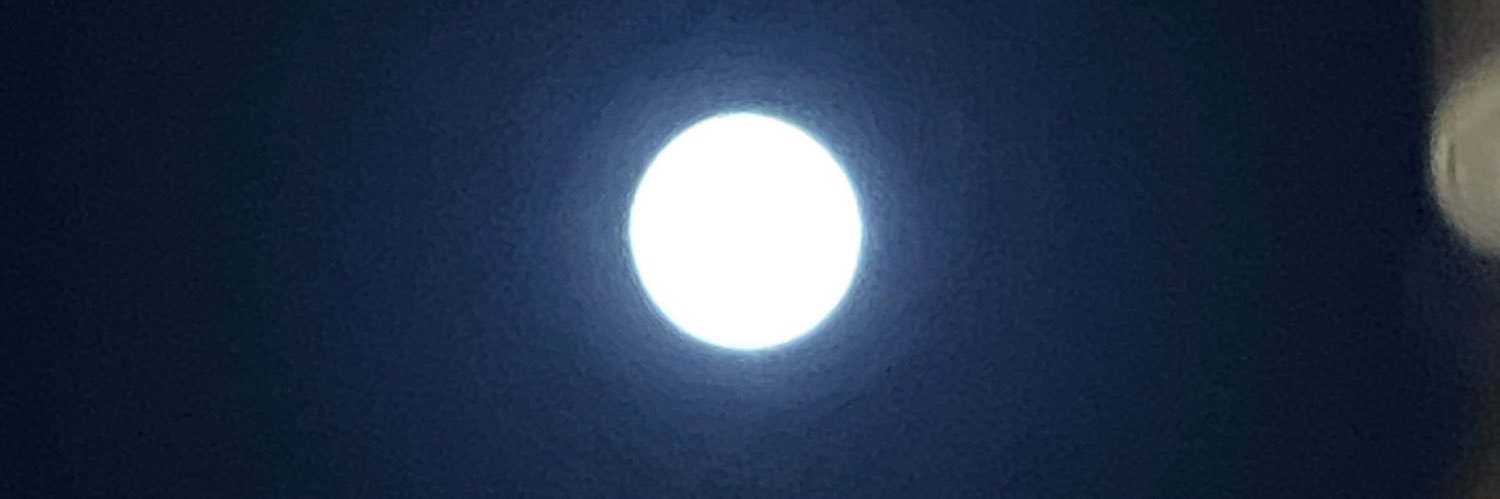 ankoemi's profile banner image