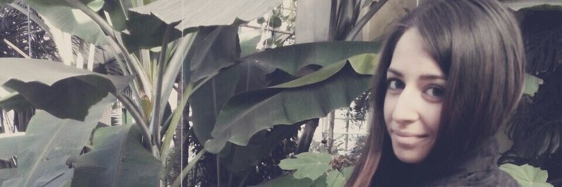 GocaStosic's profile banner image