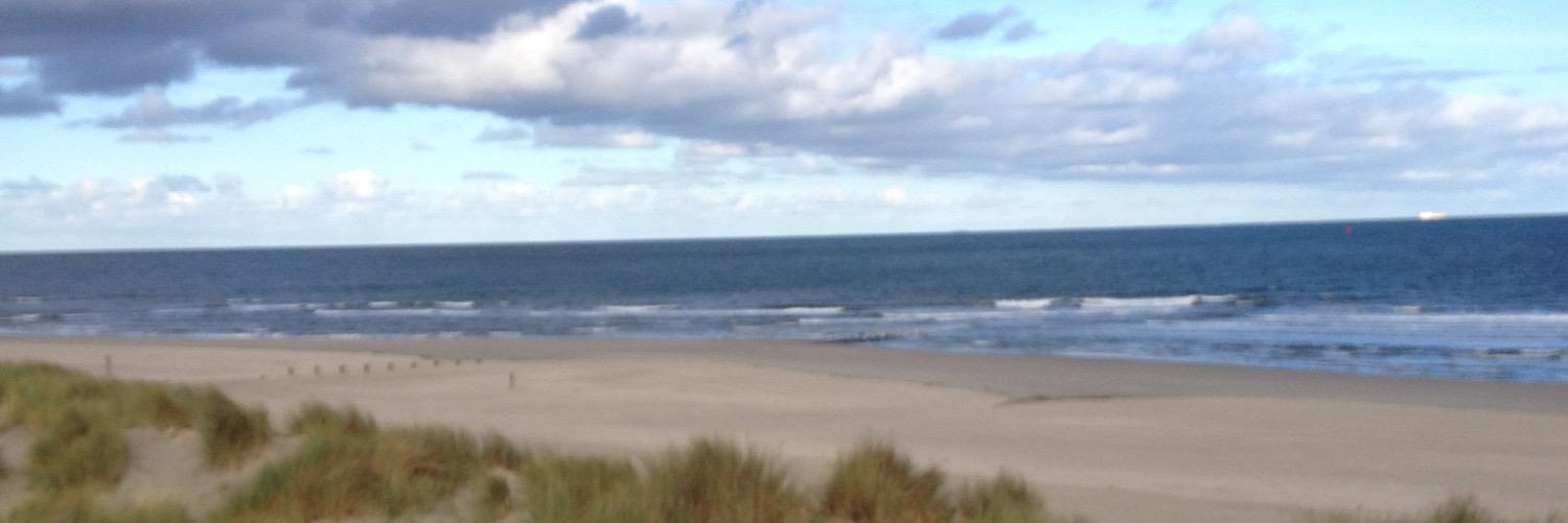 Annelieke Achterberg banner