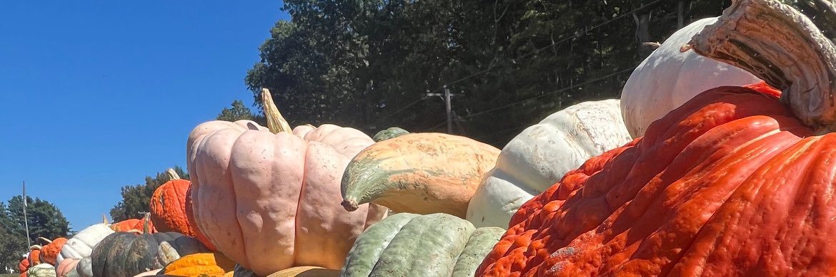 Stop Savin Chat banner