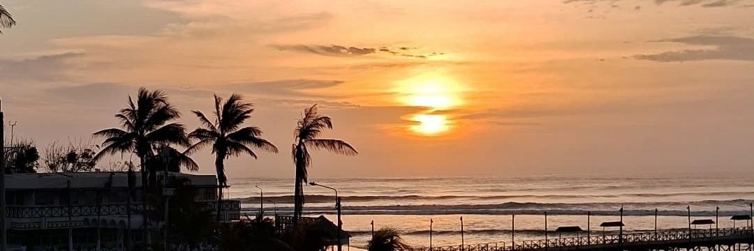 Maestro Pifrode banner