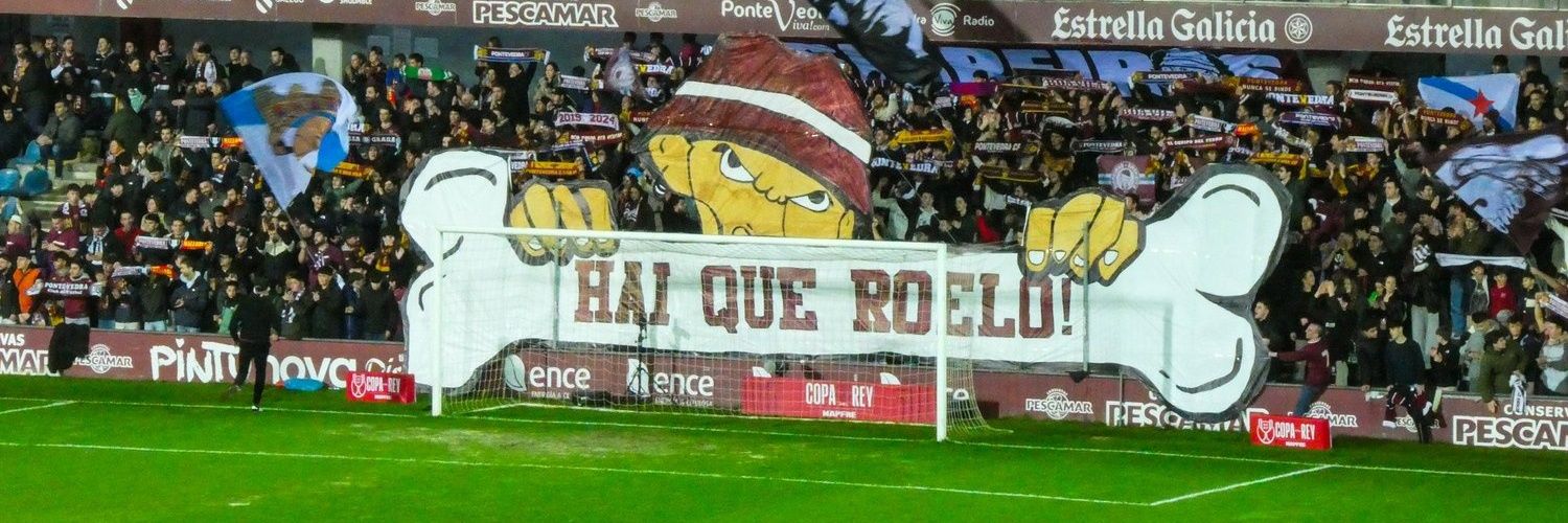 Sane Madman 🦴 banner