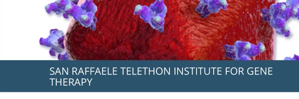 NaldiniLab Profile Banner