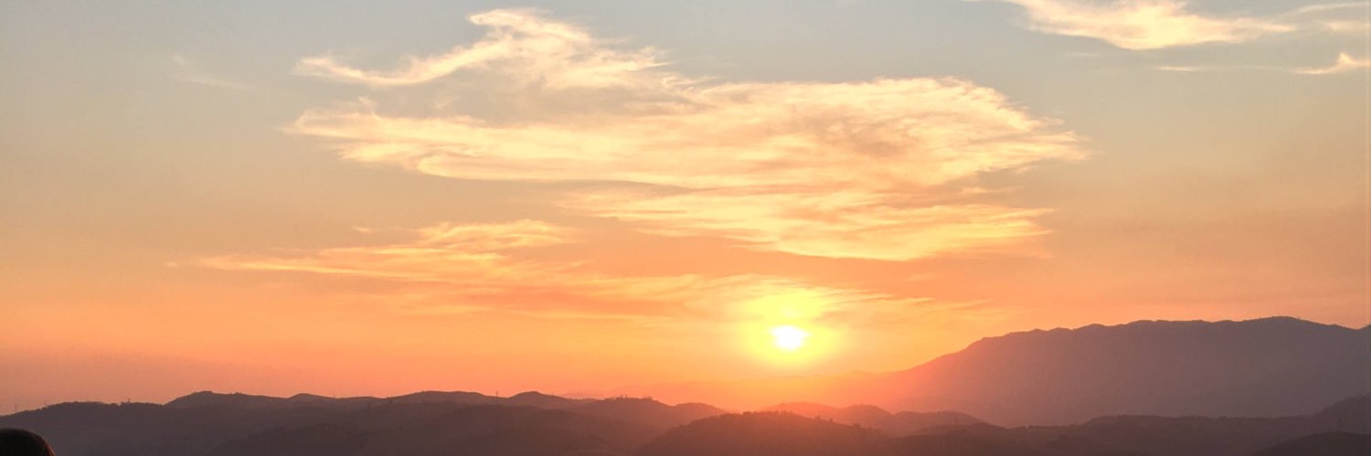 FilipedaAlves's profile banner image