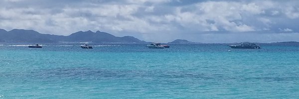 SaraSeptic Profile Banner