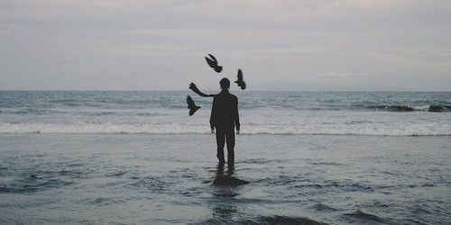 кокосовый ррраф banner