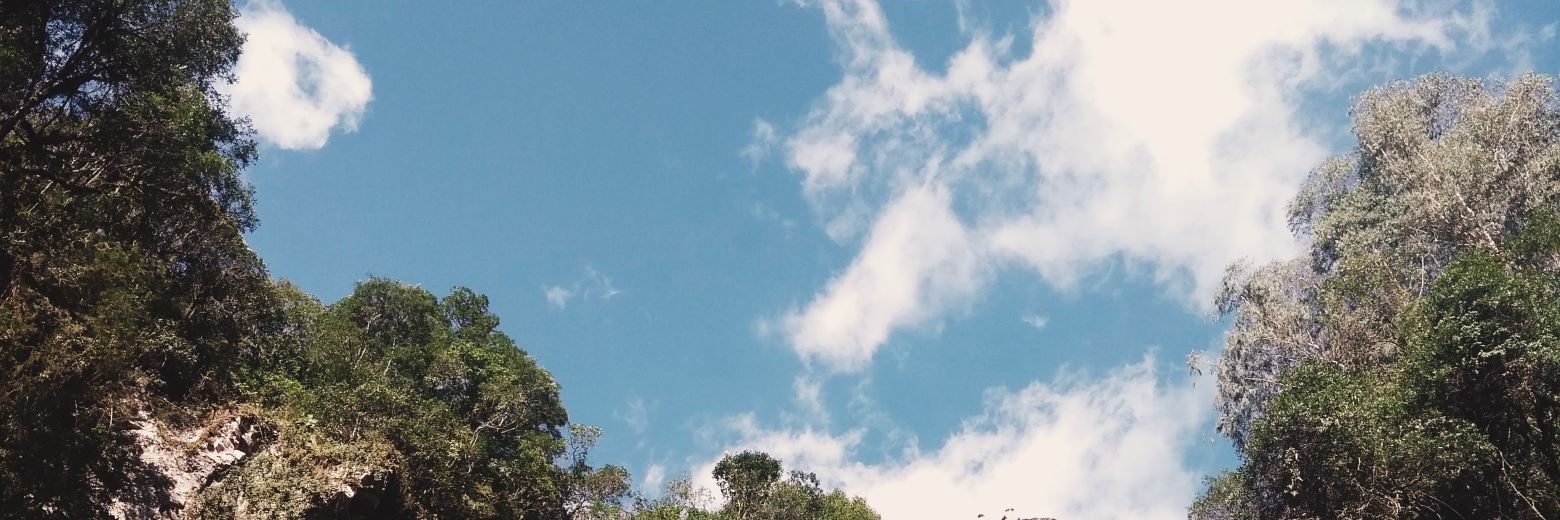 brittoprafaela's profile banner image