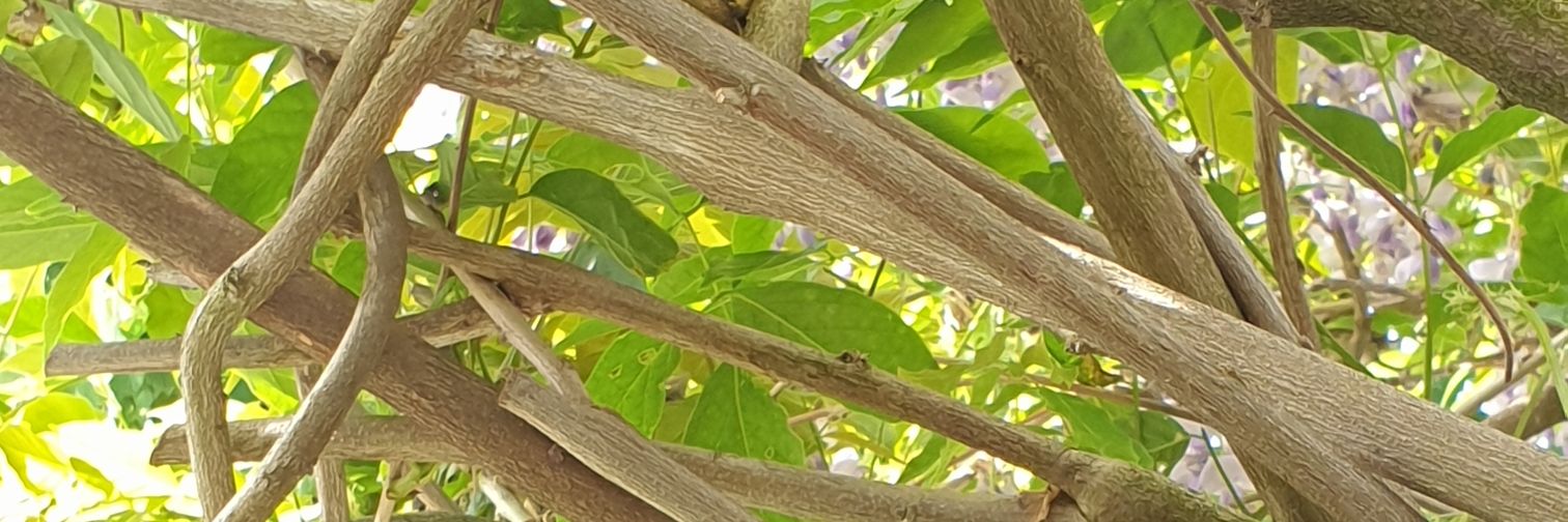 DerZijpp's profile banner image
