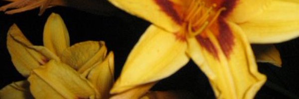 yoongiversc Profile Banner