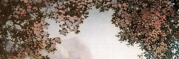 LiliaDiscount's profile banner image