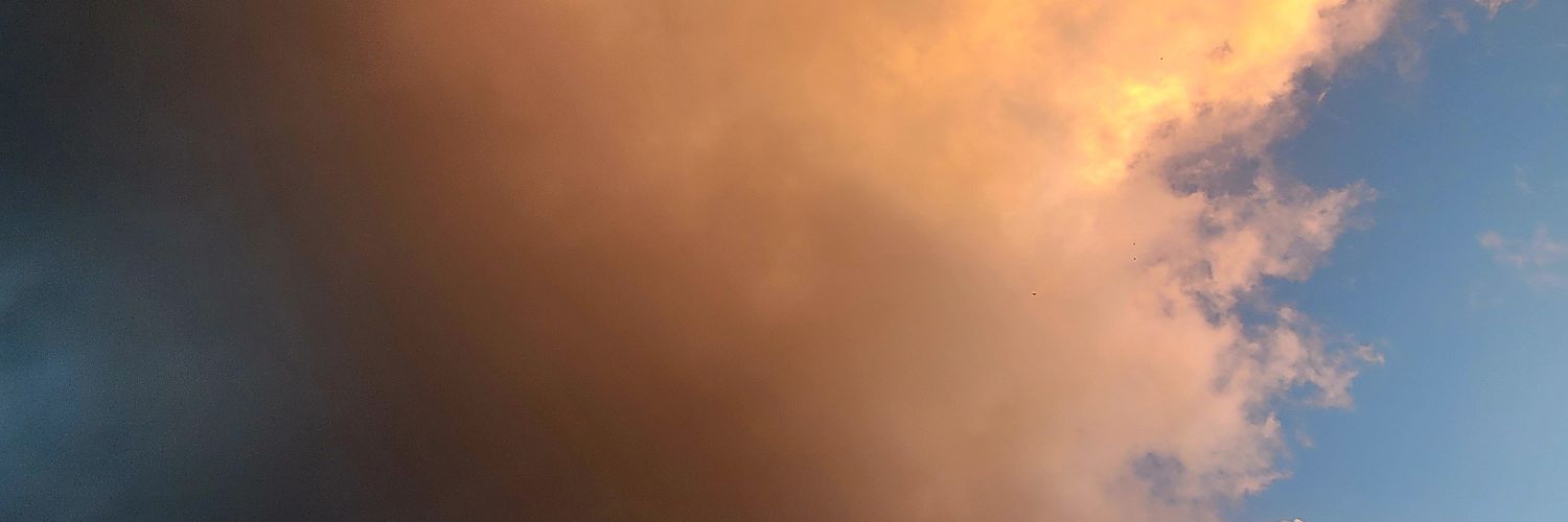 MatCo_mn's profile banner image