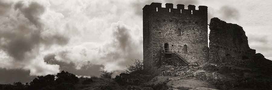𝑿𝑰𝑽𝑽𝑰𝑰𝑰 banner