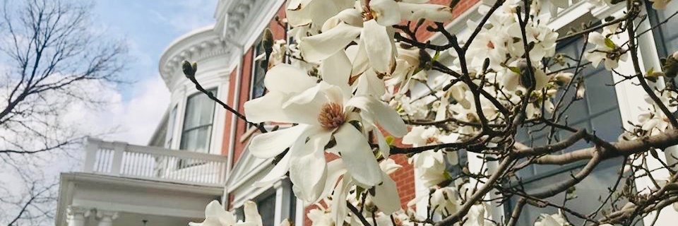 The History Center banner