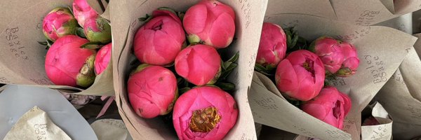 ctrlsnzs Profile Banner