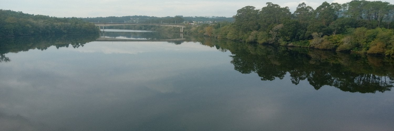 Bruno Oscar Silva banner