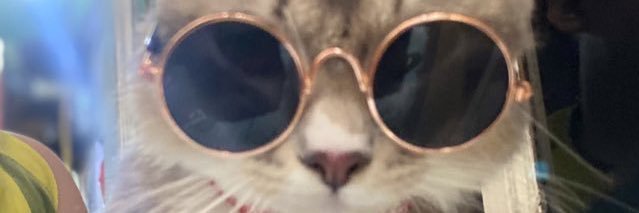 Rents 🎥 17pm banner