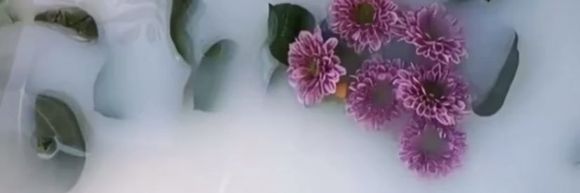 dpingersoll's profile banner image