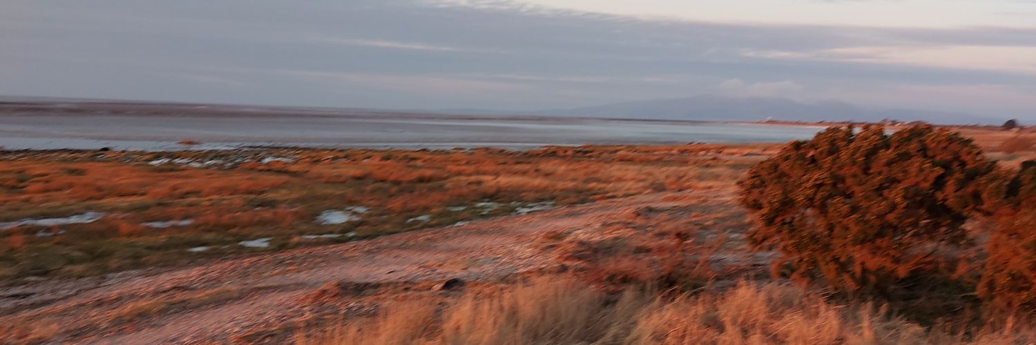 catherin_t's profile banner image