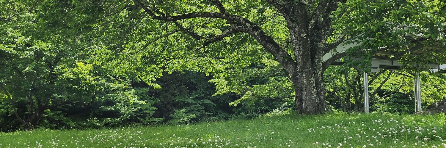 tasu_cafe's profile banner image