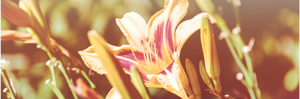ange6465's profile banner image
