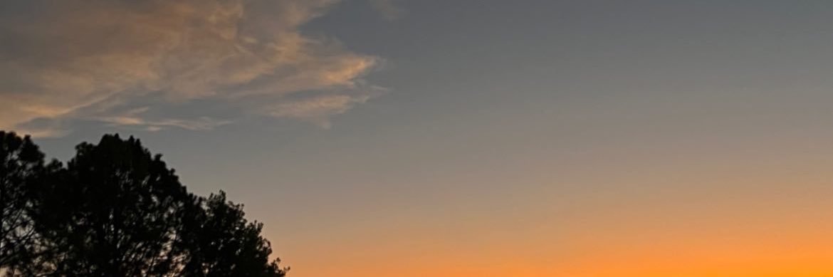 caamidamorr's profile banner image