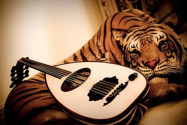 Awtar3azef's profile banner image