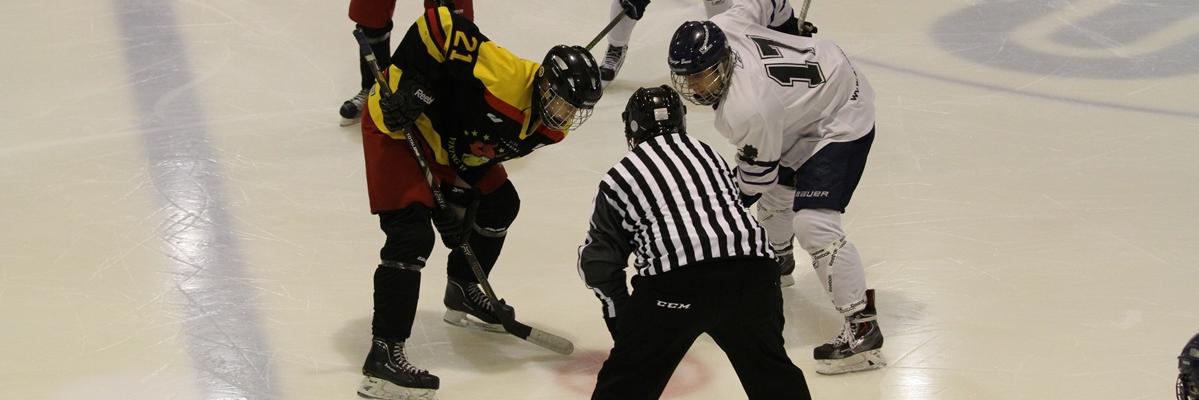 Eric Jansson banner