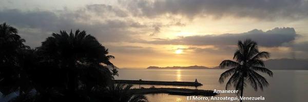 EveWeb Profile Banner