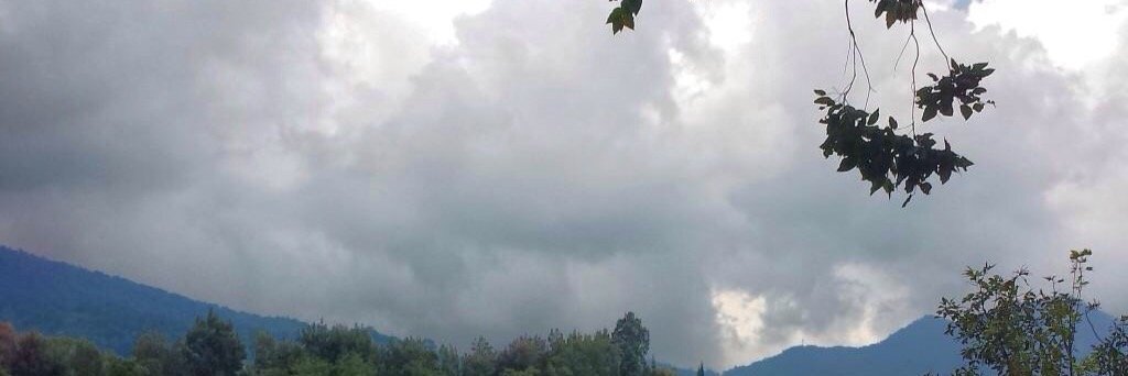 السفيره 💚 banner